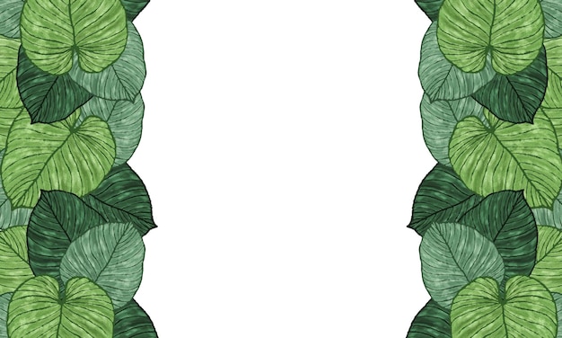 Tropical green leaves hand drawn border background