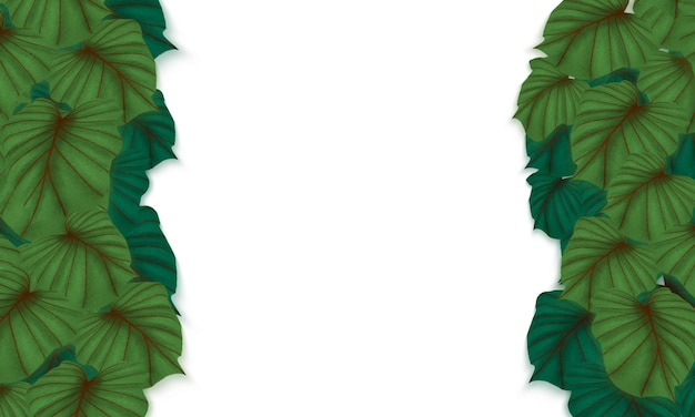 Tropical green leaves hand drawn border with empty white space background