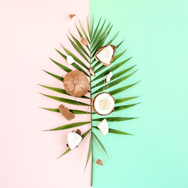 Tropical green palm leaf and cracked coconut on colorful background nature concept flat lay top view