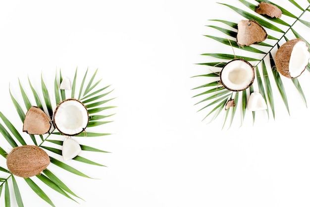 Tropical green palm leaf and cracked coconut on white background nature concept flat lay top view