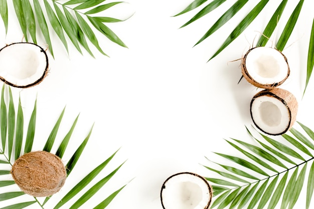 Tropical green palm leaf and cracked coconut on white background nature concept flat lay top view