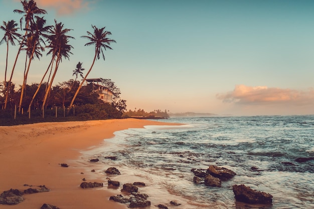 Tropical island sand beach ocean landscape