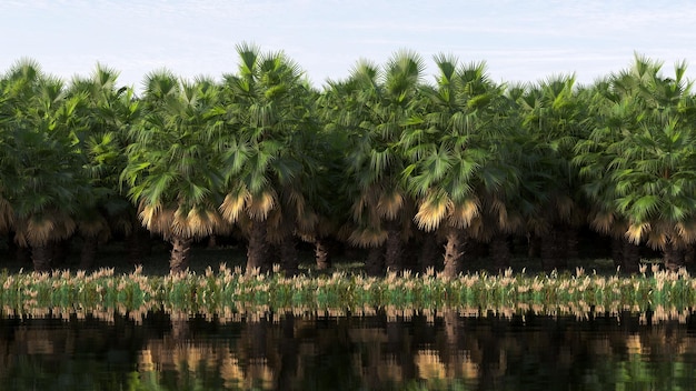 tropical jungle on the river bank 3D illustration cg render