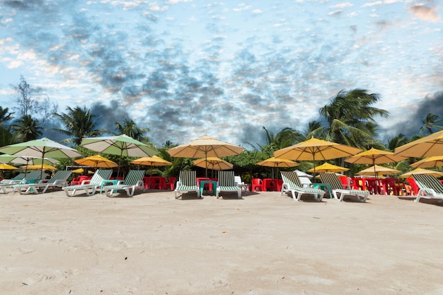 Tropical landscape with coconut palm beach on the island of Boipeba Bahia Brazil