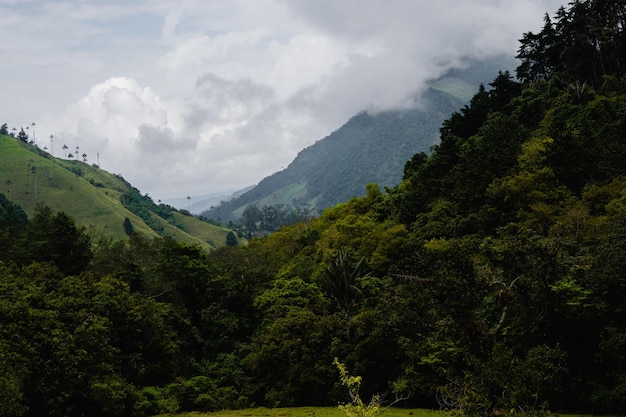 Tropical landscape with some mountains in Colombia conservation of natural spaces