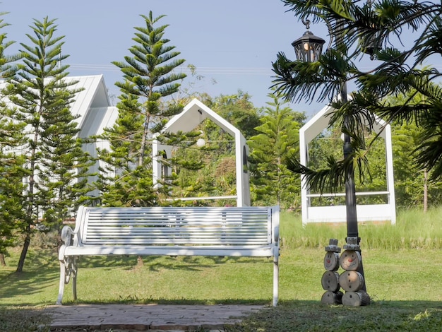 Tropical landscaping in home garden