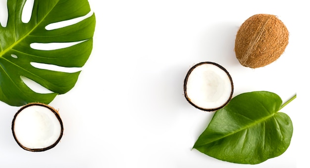 Tropical leaves and coconut top view