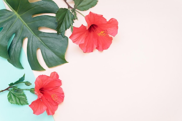 Tropical leaves and red hibiskus summer minimal background with a space for text Flatlay style view from above