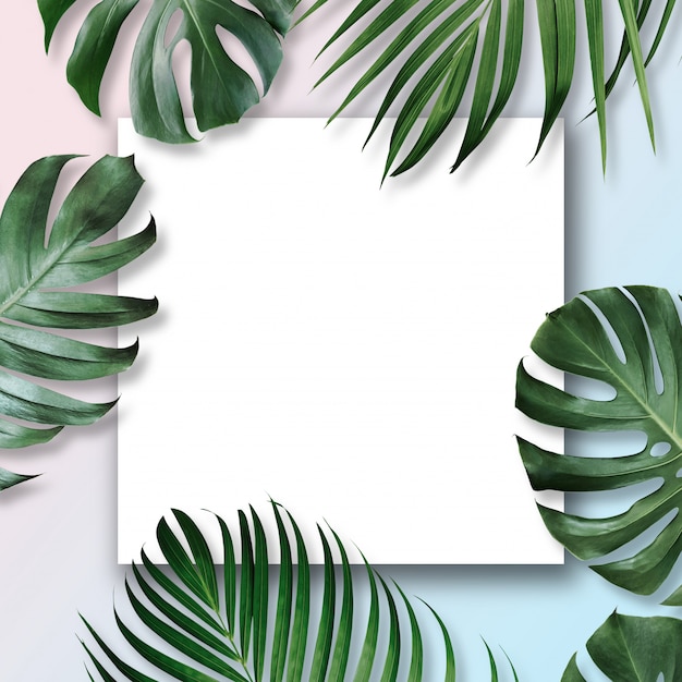 Tropical leaves with white blank space in the middle