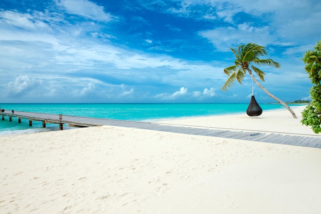 Tropical Maldives island with white sandy beach and sea palm