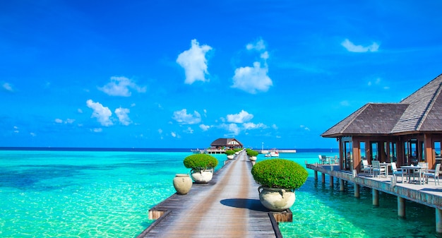 Tropical Maldives island with white sandy beach and sea