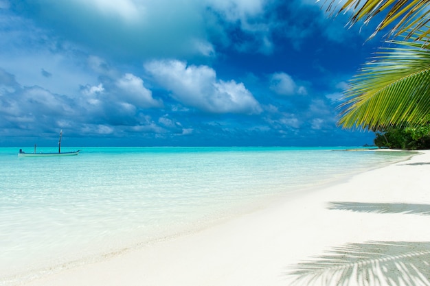 Tropical Maldives island with white sandy beach and sea