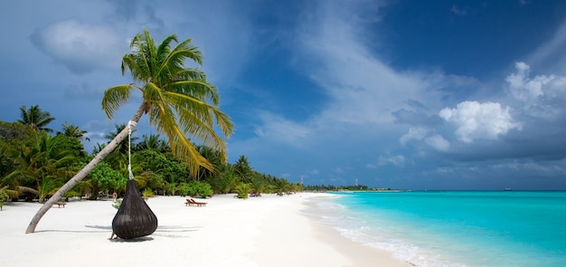 Tropical Maldives island with white sandy beach and sea