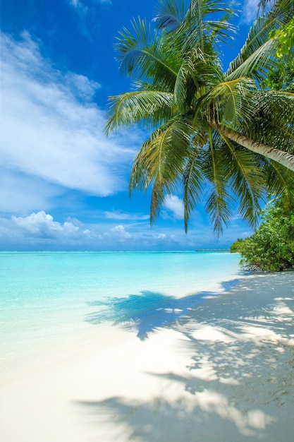 Tropical Maldives island with white sandy beach and sea