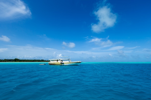 Tropical Maldives island with white sandy beach and sea