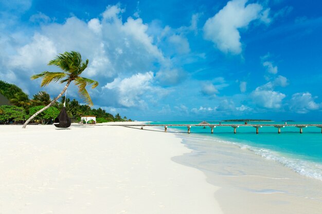 Tropical Maldives island with white sandy beach and sea