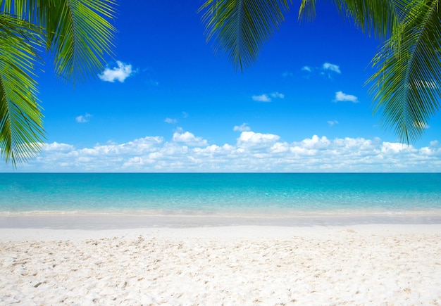 Tropical Maldives island with white sandy beach and sea