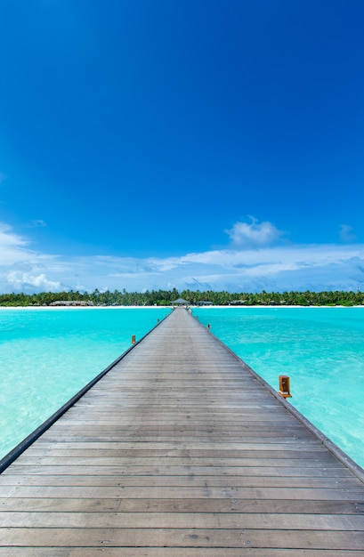 Tropical Maldives island with white sandy beach and sea