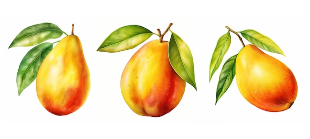 tropical mango ai generated juicy sweet mango mango variety culinary tropical mango illustration watercolor