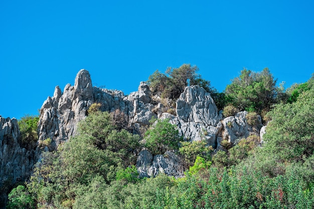 Tropical mountain landscape - bushy vegetation among white limestone cliffs