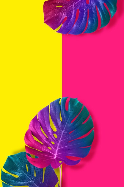 Tropical multicolored gradient monster leaves. Minimal surrealism.