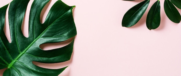 Tropical palm leaf frame on pink background with copy space. Flat lay. Top view. Summer or spring nature concept.