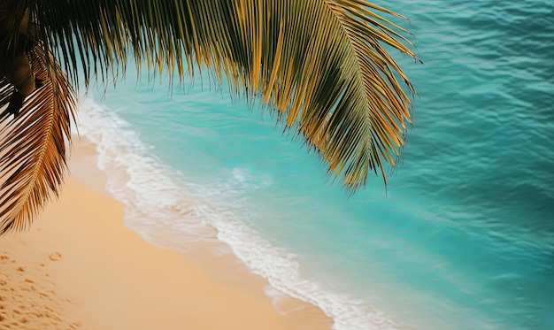 Photo tropical palm leaf overlooking sandy beach and blue ocean