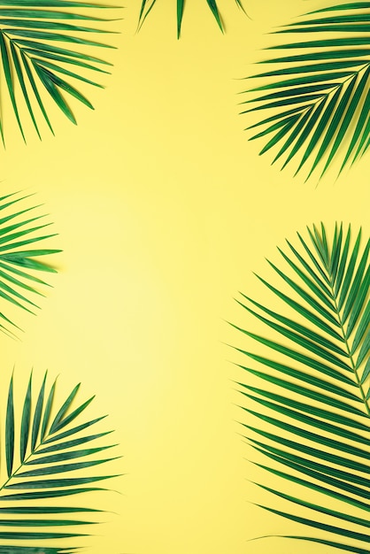 Tropical palm leaves on pastel yellow background. Minimal summer concept. Creative flat lay with copy space. 