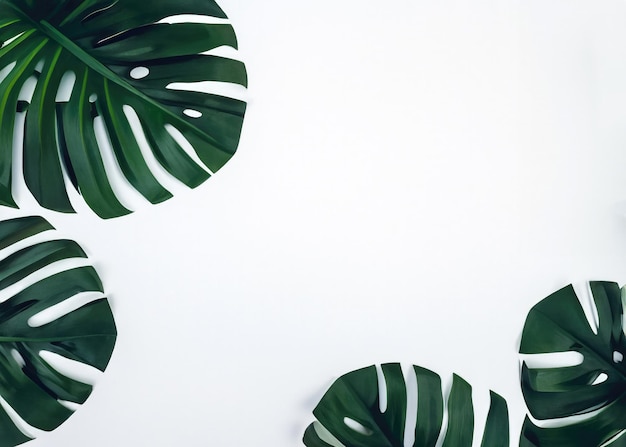 Tropical Palm Leaves Serene Summer Composition on White Background Immerse yourself in the lushness of nature with this stunning aerial view of vibrant tropical palm leaves