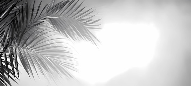 Tropical palm leaves on a white background Black and white Generative AI illustrations