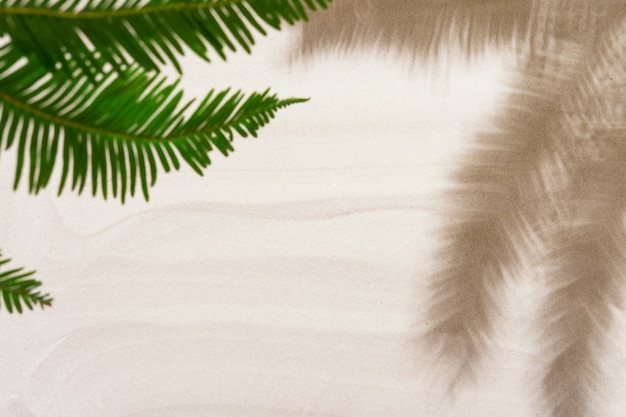 Tropical palm tree leaves shadows on the golden white sand