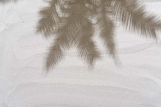 Tropical palm tree leaves shadows on the golden white sand