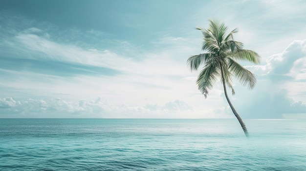 Tropical Palm Tree Serenity on Ocean Horizon