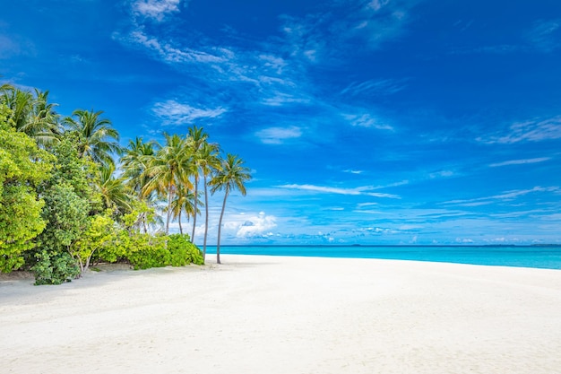 Tropical paradise beach. Palm trees, ocean lagoon idyllic relaxing landscape. Summer vacation nature