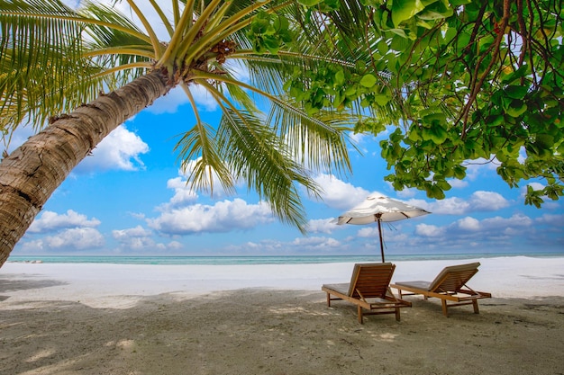 Tropical paradise beach. Paradise sea sand sky coco palms travel tourism wide panorama background