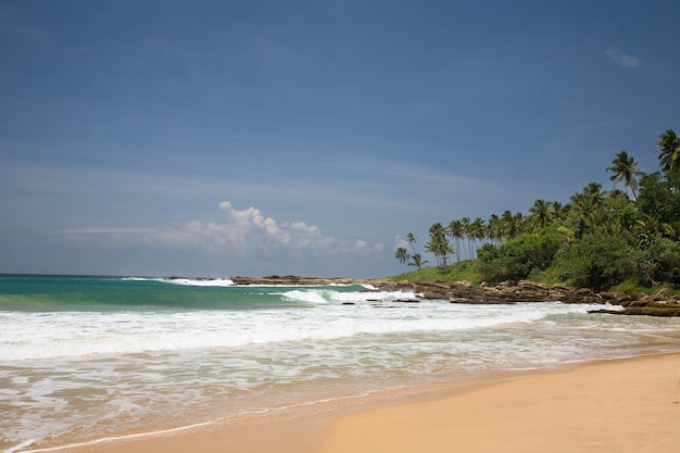 Tropical paradise with trees on beach with blue sky with clouds