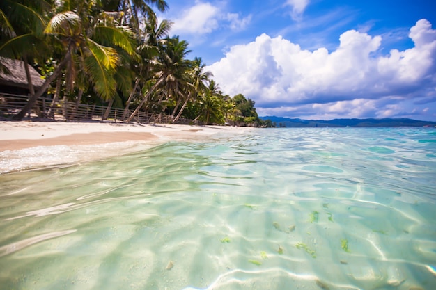 Tropical perfect beach with green palms,white sand and turquoise water