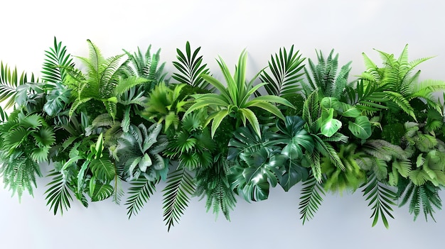 Tropical Plant Wall Installations Decorating a White Interior Space