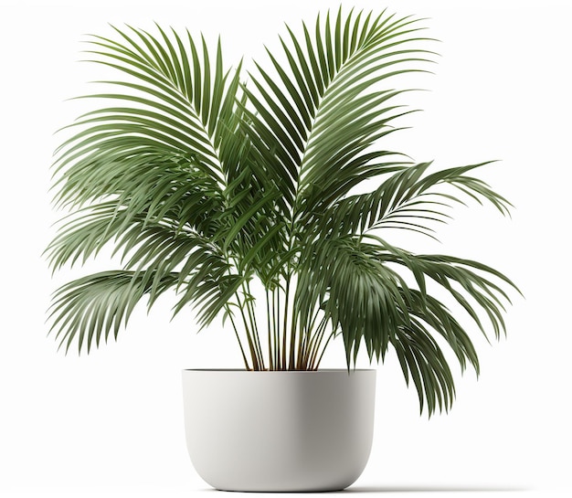 Tropical plant with lush leaves isolated on white background Generative AI illustration