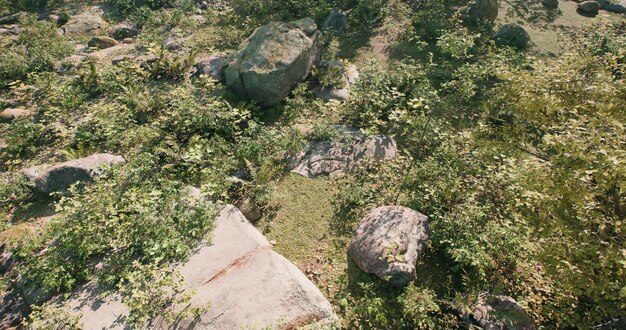 Tropical rain forest scene 3D rendering