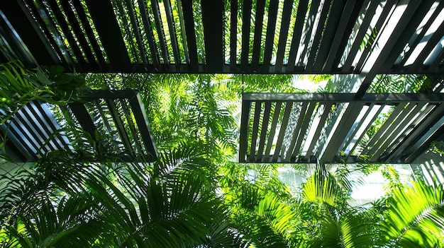 Photo tropical rainforest canopy with black metal structure