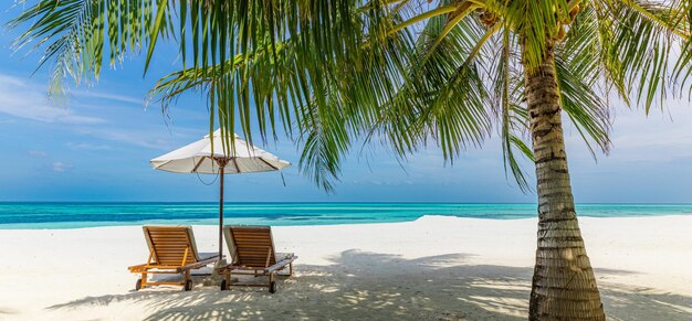 Photo tropical relax beach sunny summer island landscape love couple chairs umbrella palm leaves romantic