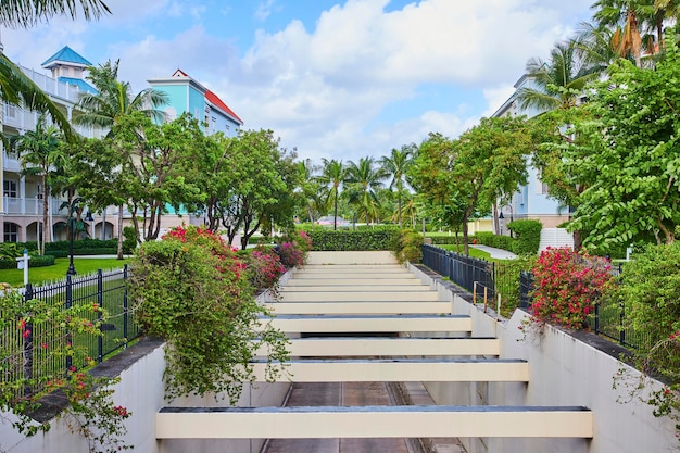 Tropical Resort Pathway with Bougainvillea and Palm Trees