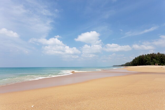 Tropical sandy beach with blue ocean and blue sky