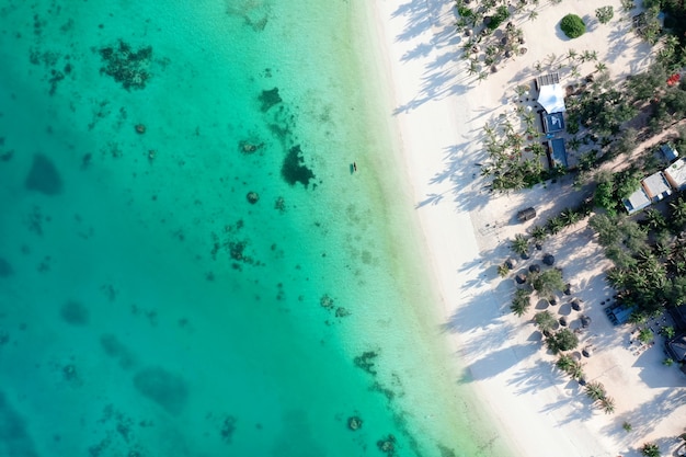 Tropical Sea. Amazing bird eyes view in Zanzibar