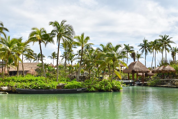 Tropical sea scenic landscape Tourist holiday destination with palm trees and the sea