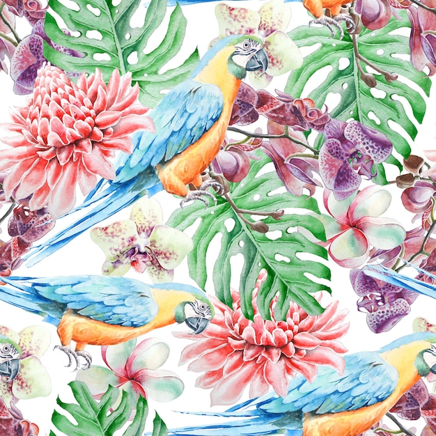 Tropical seamless pattern with birds leaves and flowers. Parrot. Etlingera.  Monstera. Orchid. Watercolor illustration. Hand drawn.