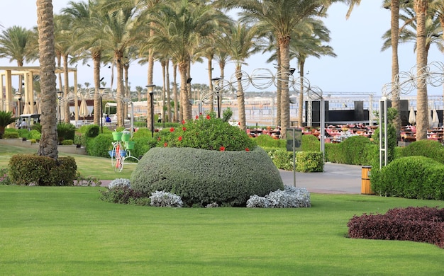 tropical vegetation in a summer resort hotel