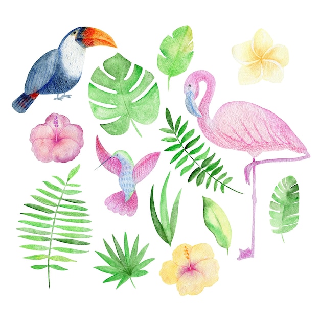 Tropical watercolor arrangement with birds and flowers