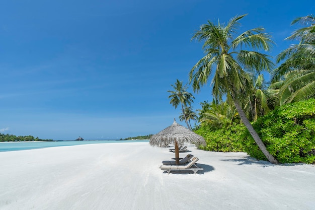 Tropical white sand beach at Maldives island Summer and holiday vacation concept